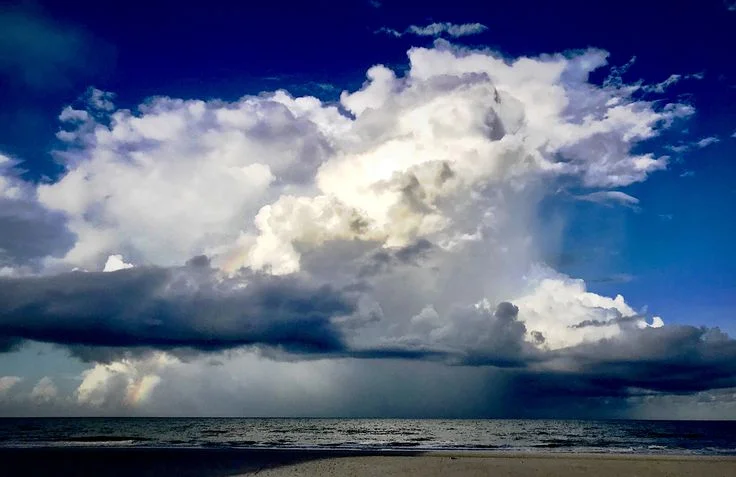 Offers ThunderOnTheGulf.com: Complete Guide to Deals, Events, and Visitor Benefits Offers ThunderOnTheGulf.com