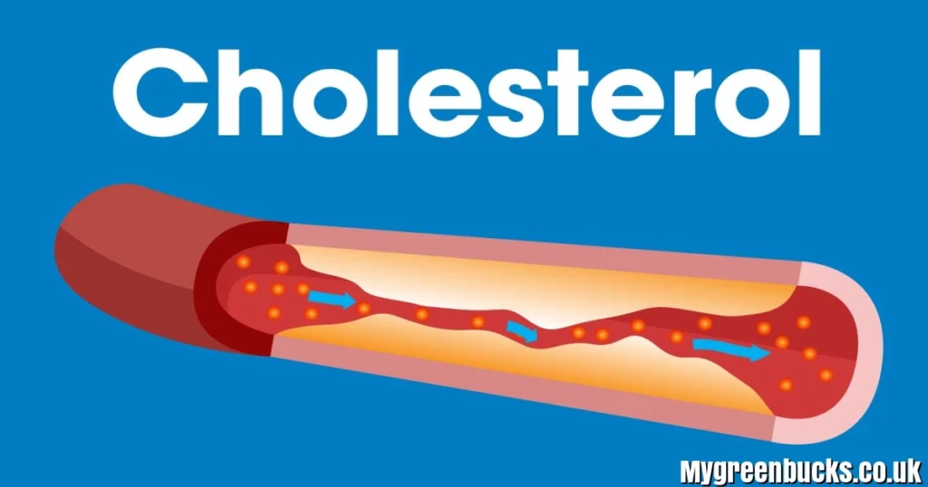 Holestetol: Meaning, Causes, Risks & How to Control Cholesterol